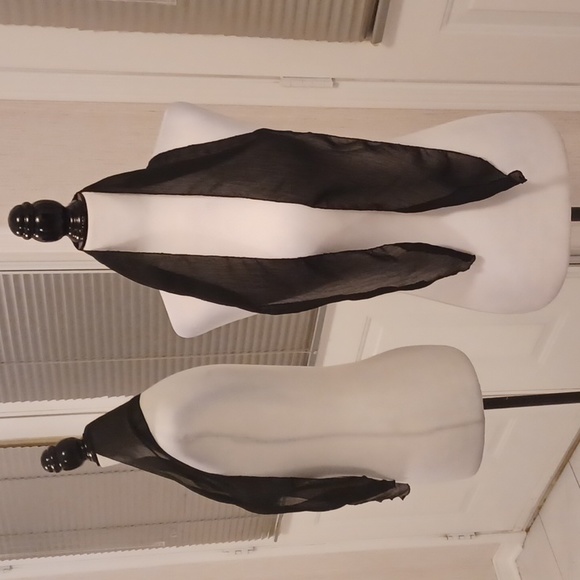 $4 Add-on New Sheer Black Fabric Belt/Scarf - Picture 2 of 3